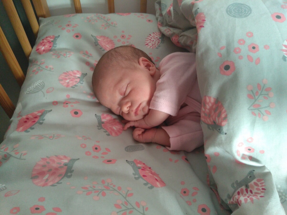 Zuzanna 12.10.2019r
dzielnica: Orzegów