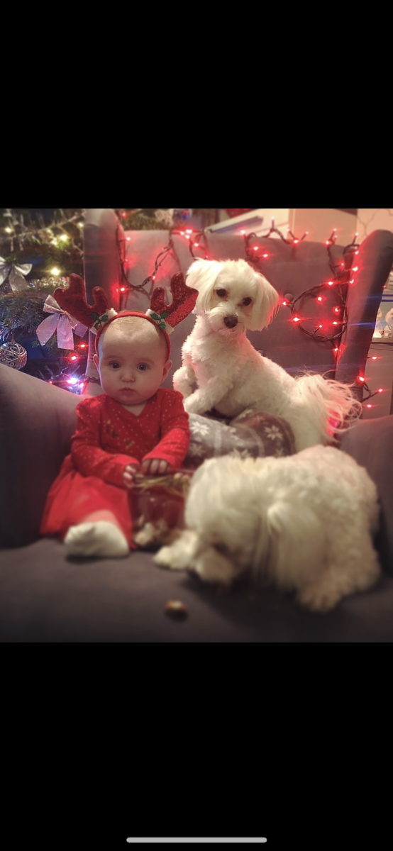 Michalina  31.05.2019
dzielnica: Ruda 1