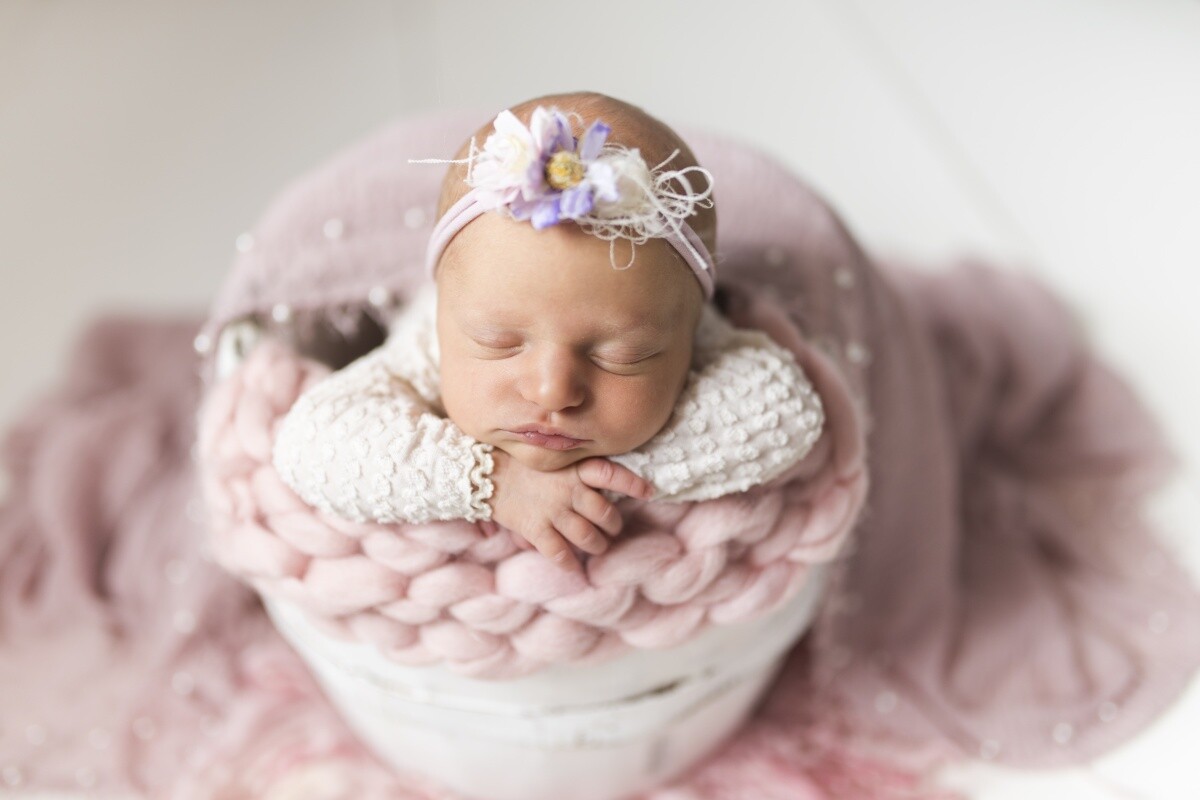 Zośka 28.08.2019 
dzielnica: Halemba