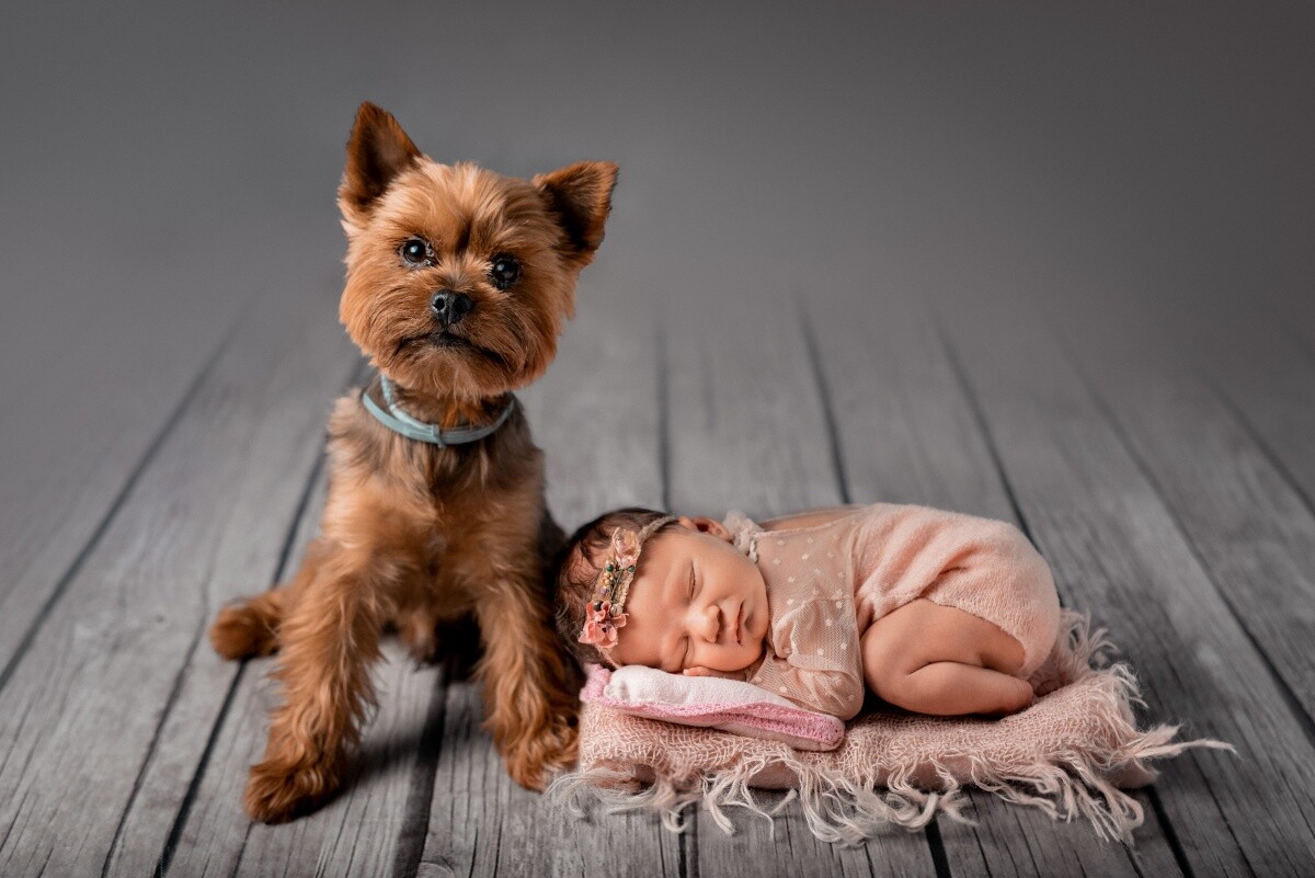 Julia Budny 20.08.2020 
dzielnica: Ruda 1