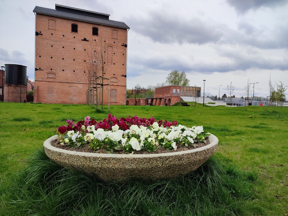 Wraz z nadejściem wiosny nasze miasto nie tylko się zazieleniło – w wielu miejscach pojawiły się także nowe kwiaty i krzewy. 

fot. Jacek Knapik / MPGM TBS