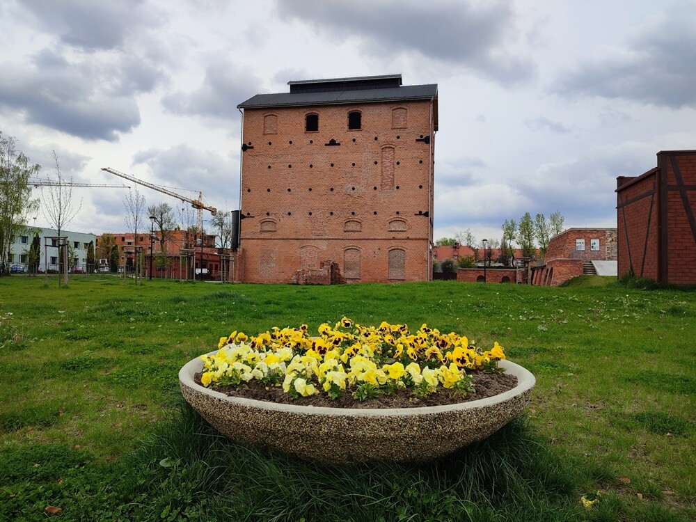 Wraz z nadejściem wiosny nasze miasto nie tylko się zazieleniło – w wielu miejscach pojawiły się także nowe kwiaty i krzewy. 

fot. Jacek Knapik / MPGM TBS