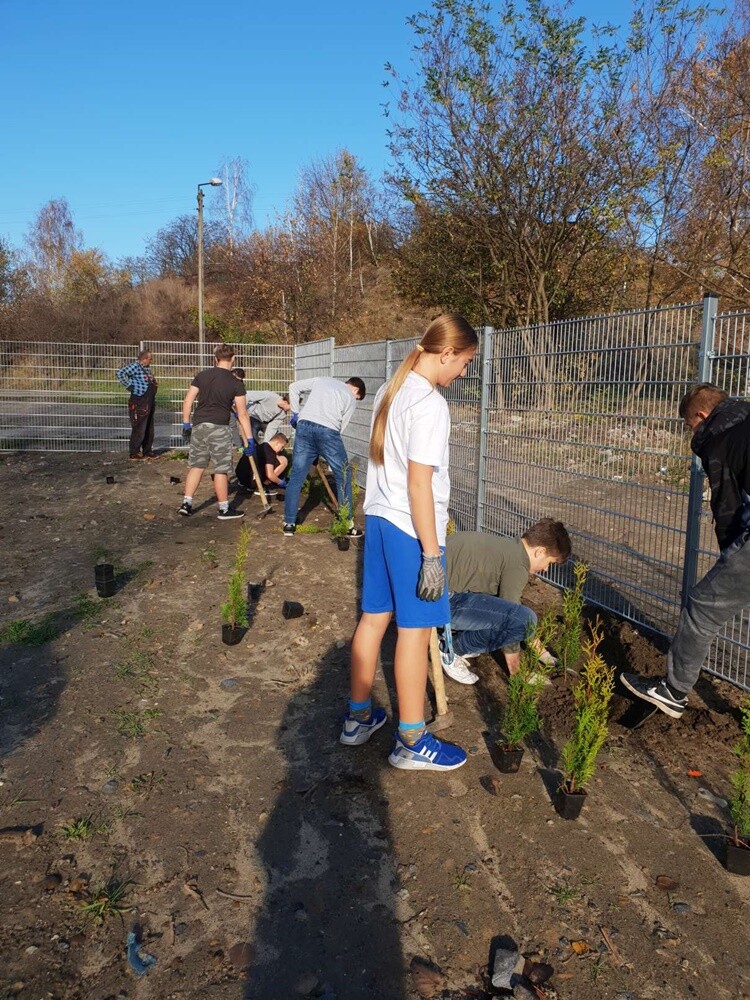 Wokół Szkoły Podstawowej nr 16 im. Janusza Korczaka w pozieleniało.