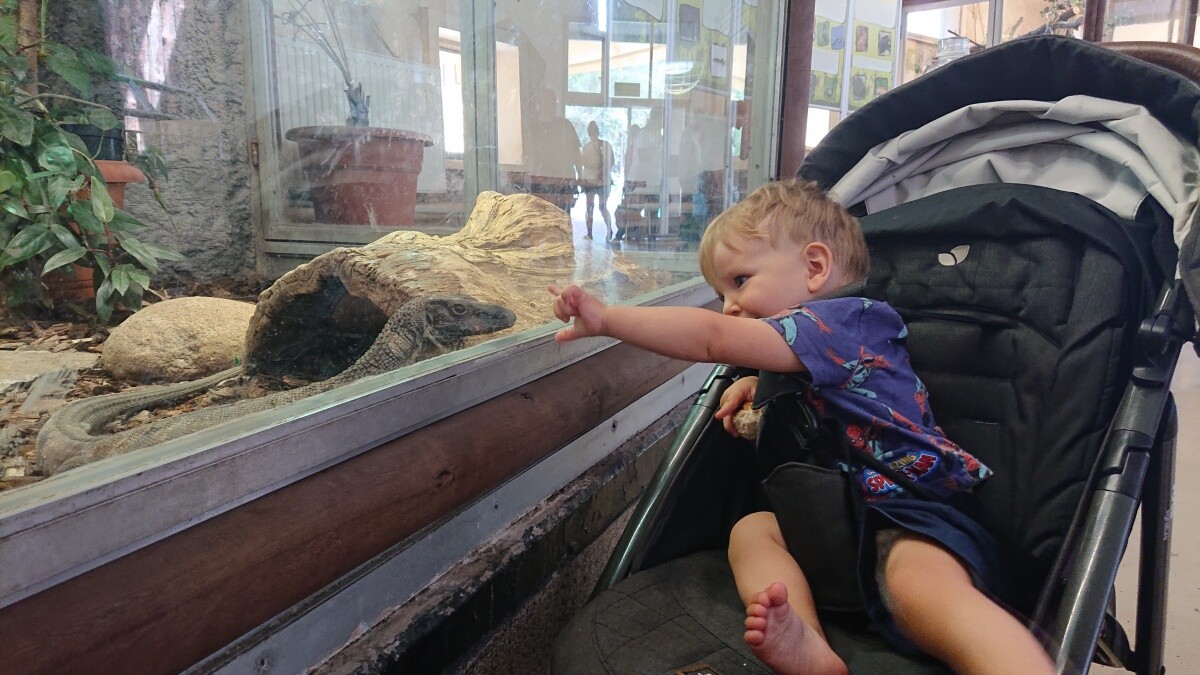 Na zdjęciu Tomasz Ojczyk z waranem

dzielnica: Ruda