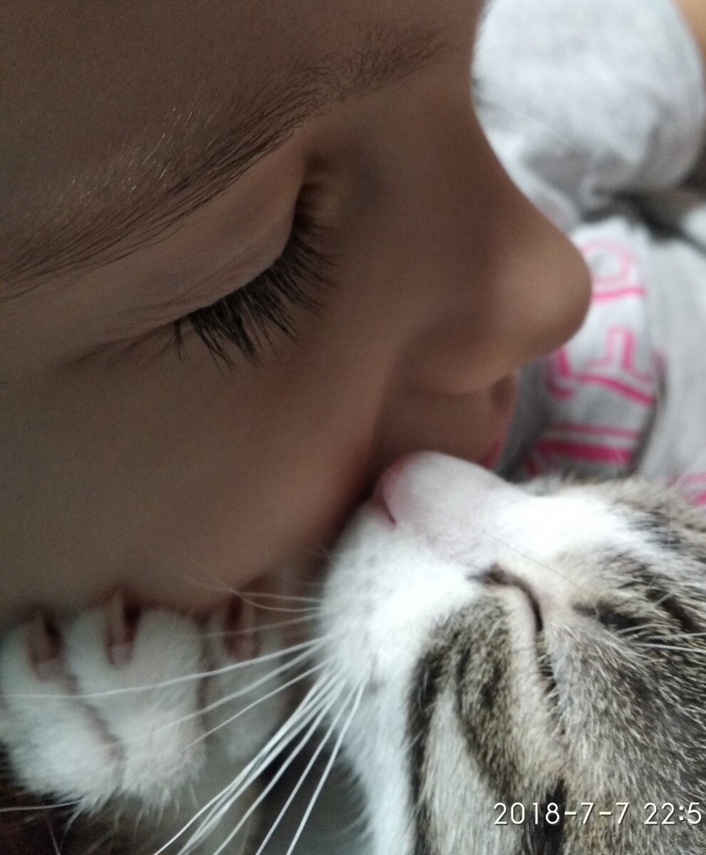 Hania i Floki
dzielnica: Bykowina