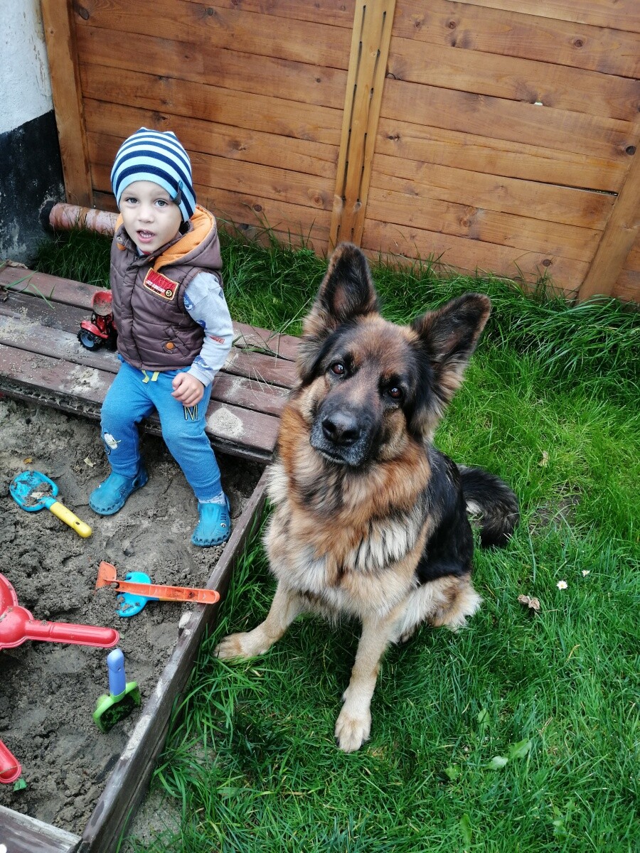 Kacper i Kira ❤️❤️

dzielnica: Orzegów 