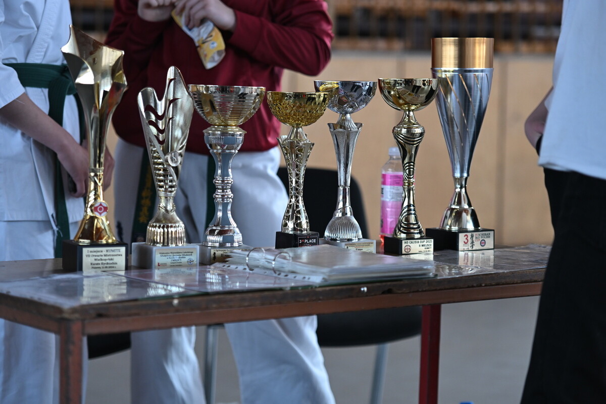 „Nasze Pasje” – święto młodzieżowych inspiracji w Rudzie Śląskiej. / fot. Marek Faber