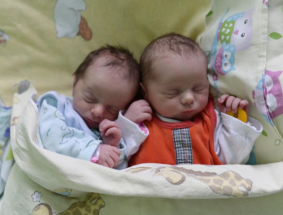 Nikodem Hetman i Nikolas Hetman