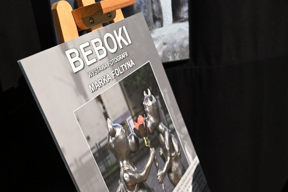 Niy ino gŏdōmy, ale tyż czytōmy w Stacji Biblioteka/fot. FB Michał Pierończyk