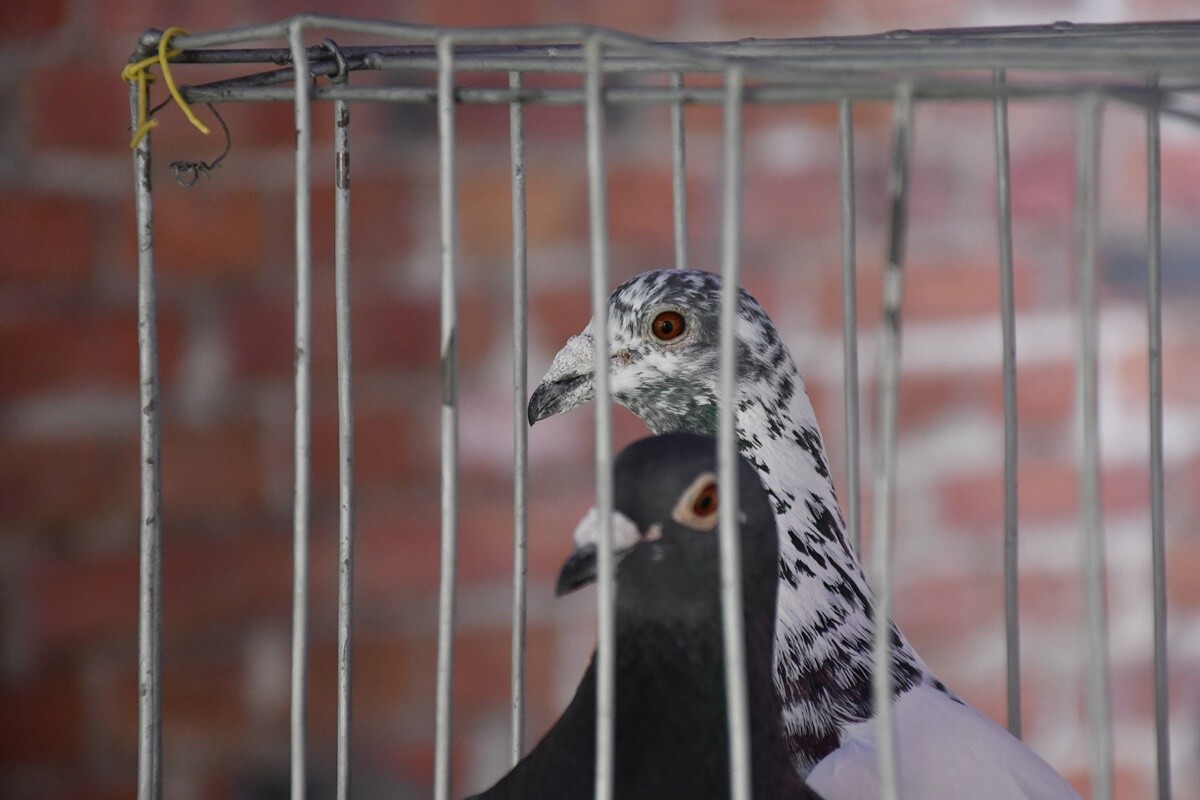 Noc Muzeów 2024 w Rudzie Śląskiej. / fot. Jacek Knapik