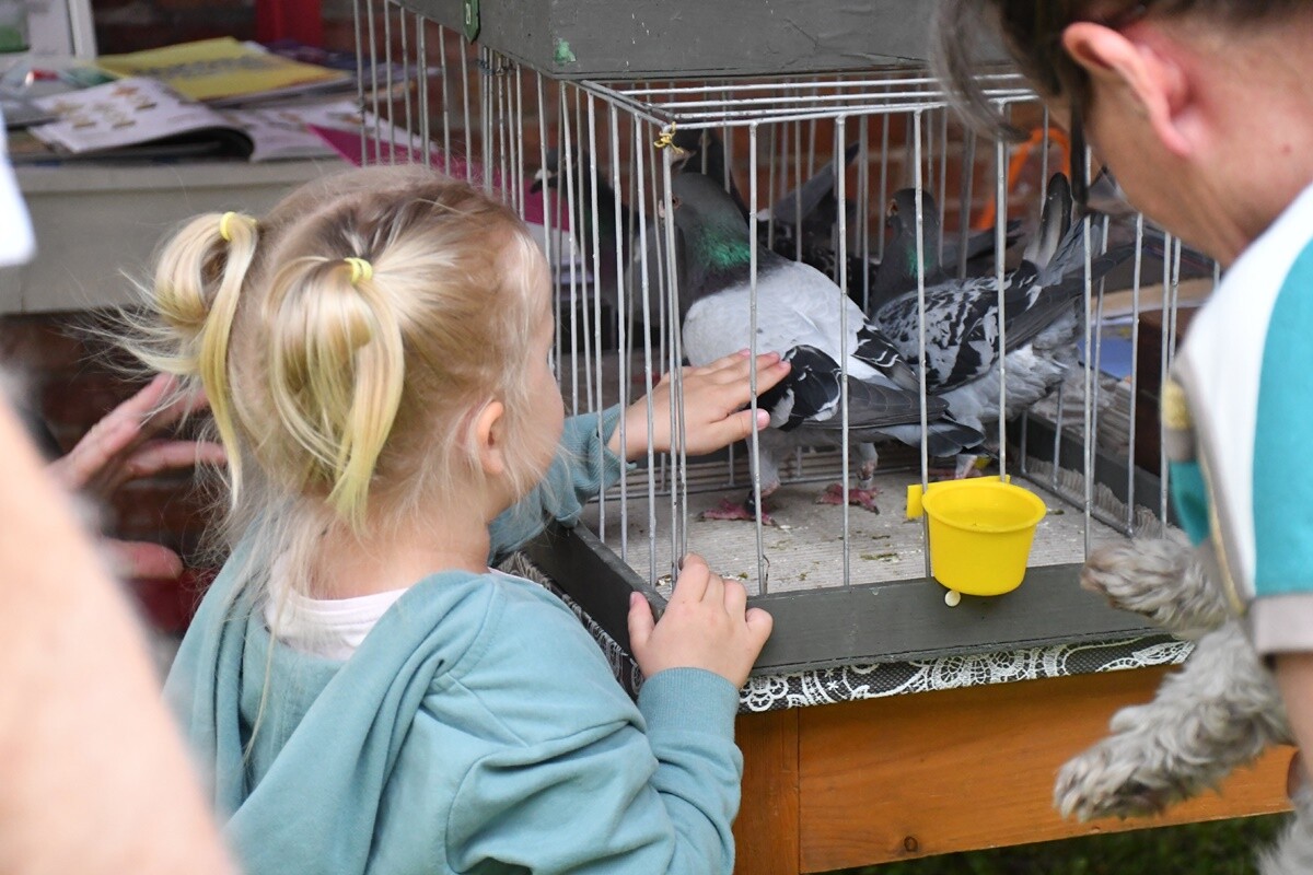 Noc Muzeów 2024 w Rudzie Śląskiej. / fot. Jacek Knapik