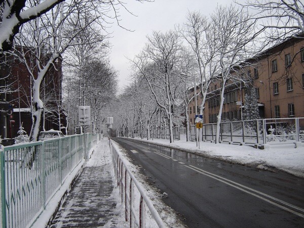 Nowy Bytom - ulica Hallera