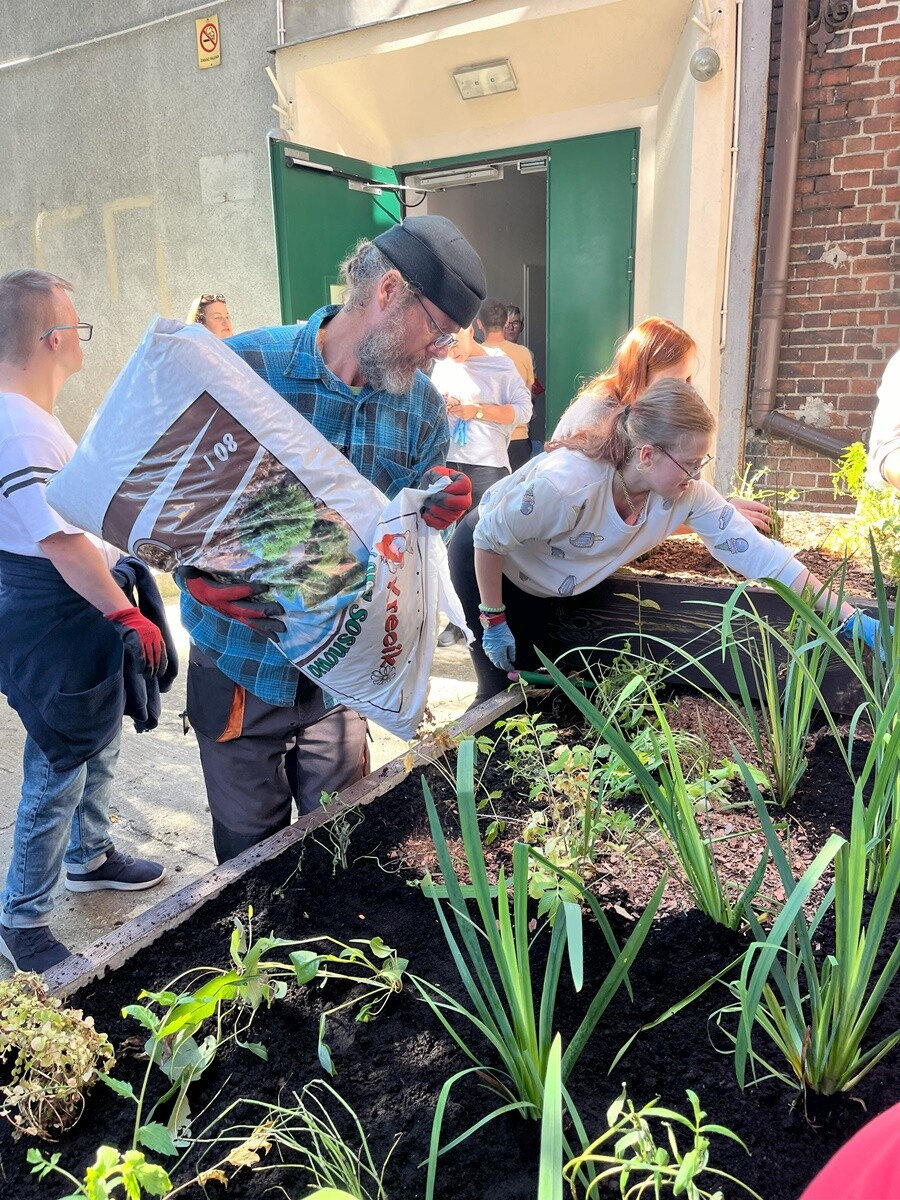 Ogród deszczowy w Zespole Szkół nr 7 w Rudzie Śląskiej. / fot. ZS nr 7