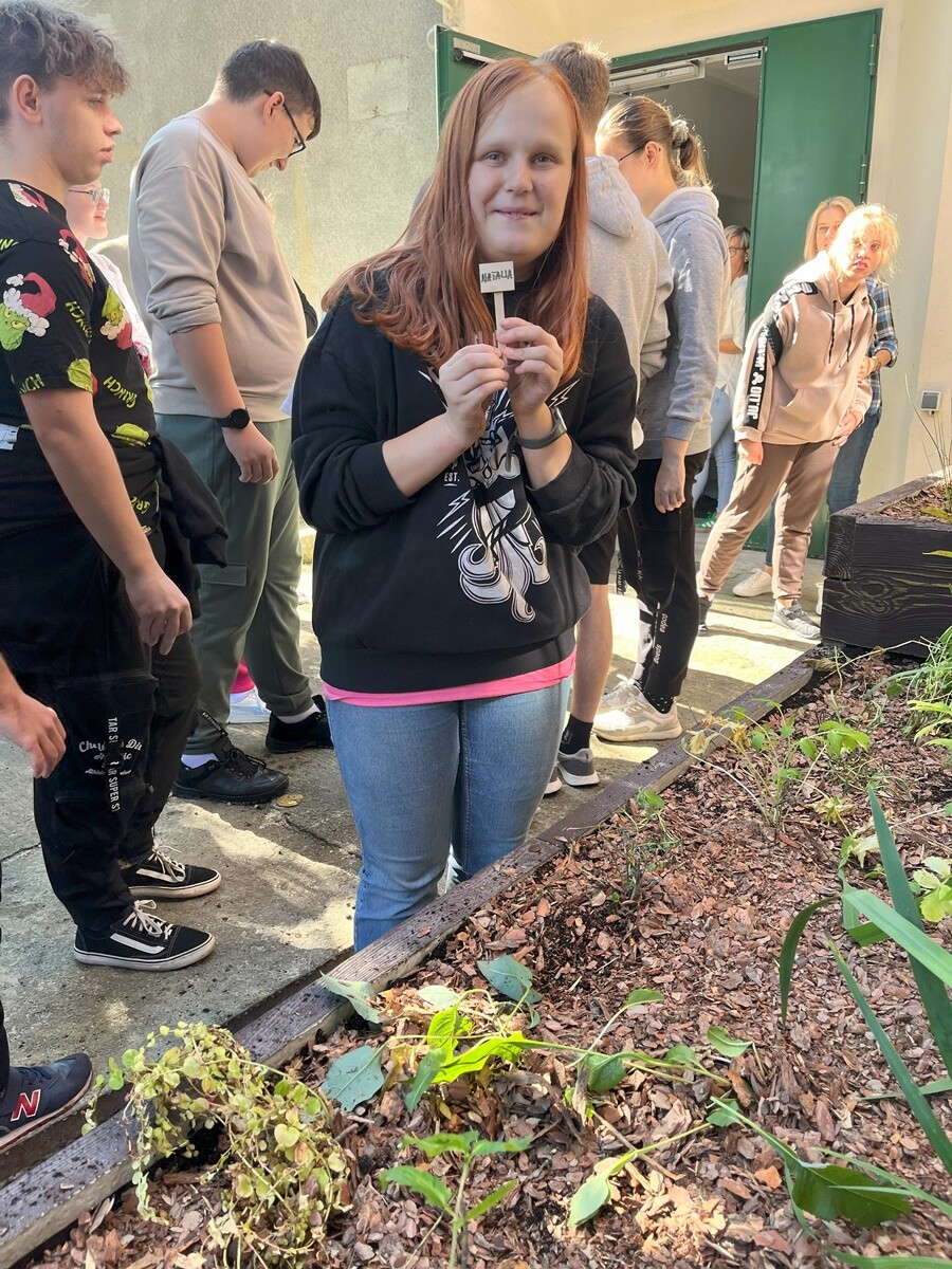 Ogród deszczowy w Zespole Szkół nr 7 w Rudzie Śląskiej. / fot. ZS nr 7