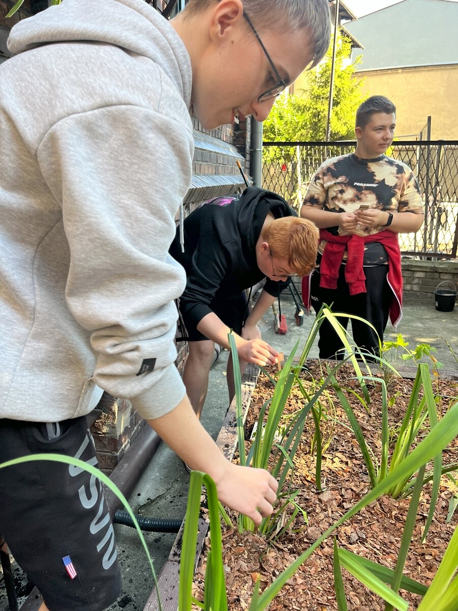Ogród deszczowy w Zespole Szkół nr 7 w Rudzie Śląskiej. / fot. ZS nr 7