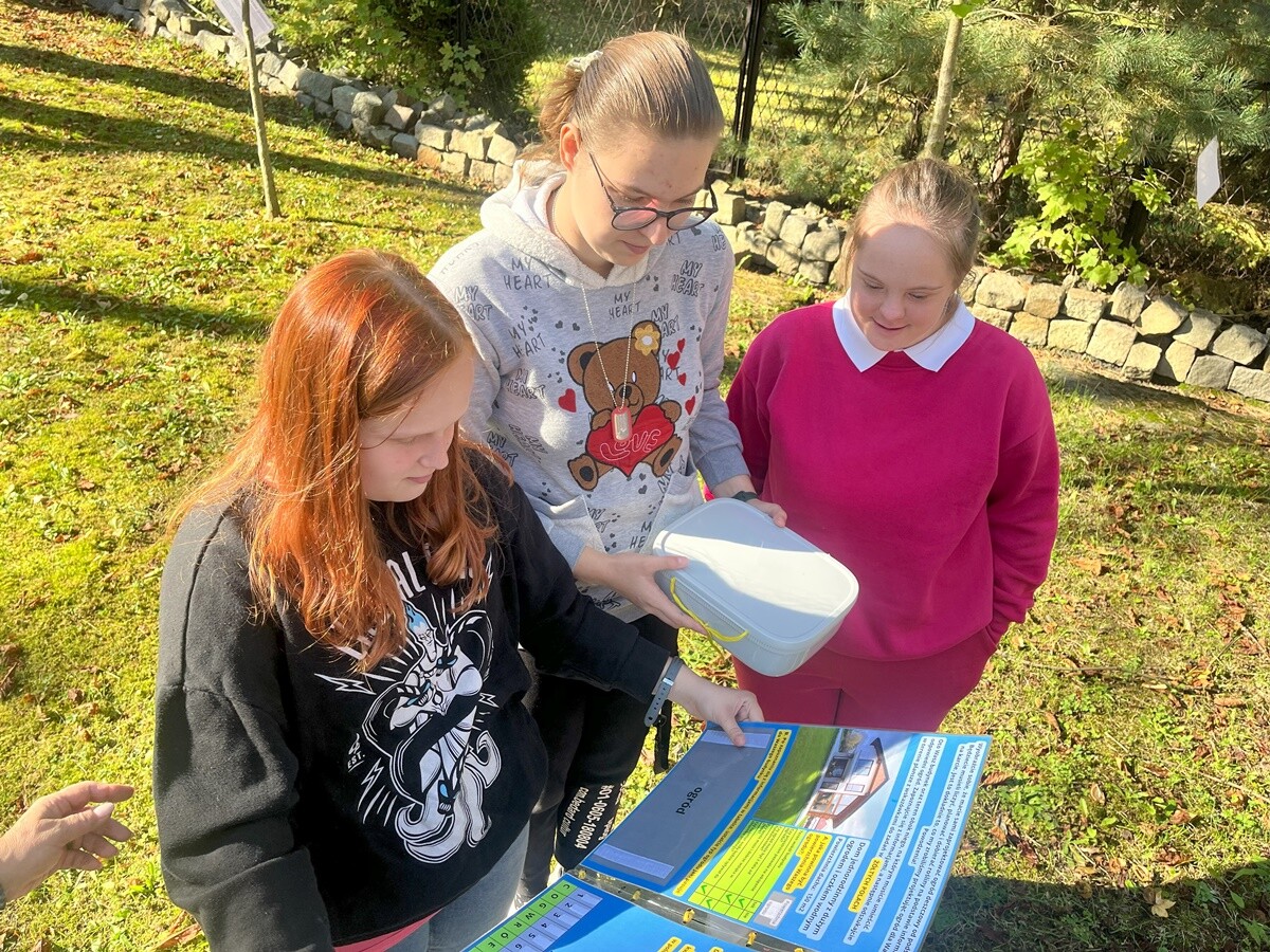 Ogród deszczowy w Zespole Szkół nr 7 w Rudzie Śląskiej. / fot. ZS nr 7