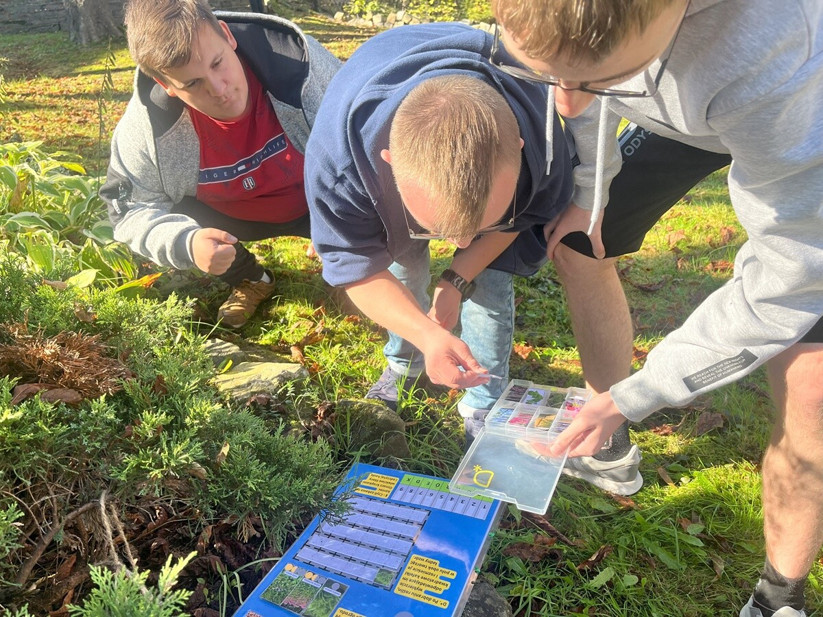 Ogród deszczowy w Zespole Szkół nr 7 w Rudzie Śląskiej. / fot. ZS nr 7
