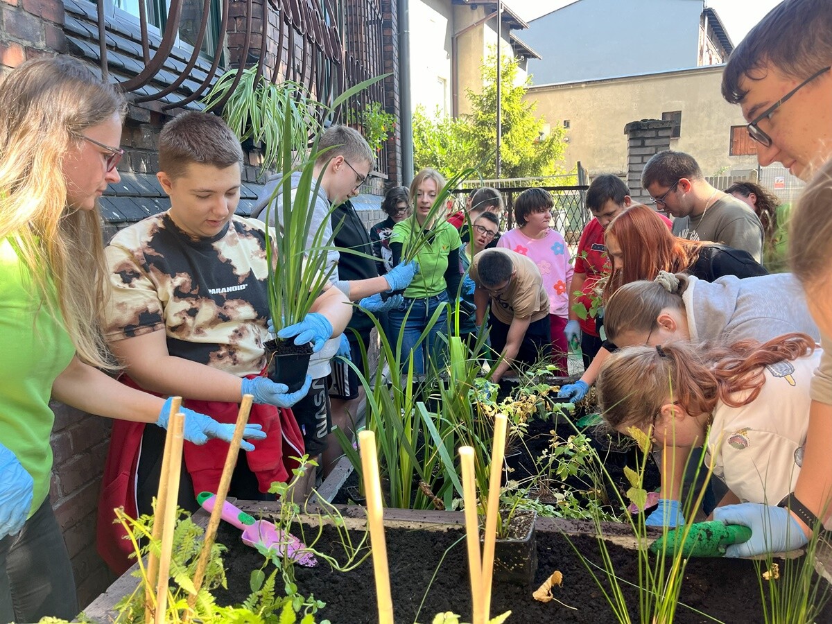 Ogród deszczowy w Zespole Szkół nr 7 w Rudzie Śląskiej. / fot. ZS nr 7