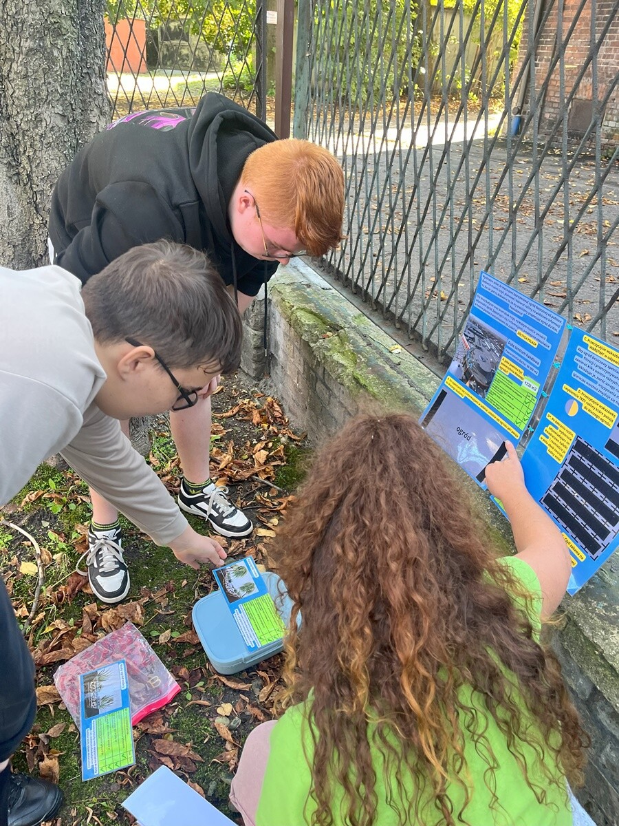 Ogród deszczowy w Zespole Szkół nr 7 w Rudzie Śląskiej. / fot. ZS nr 7