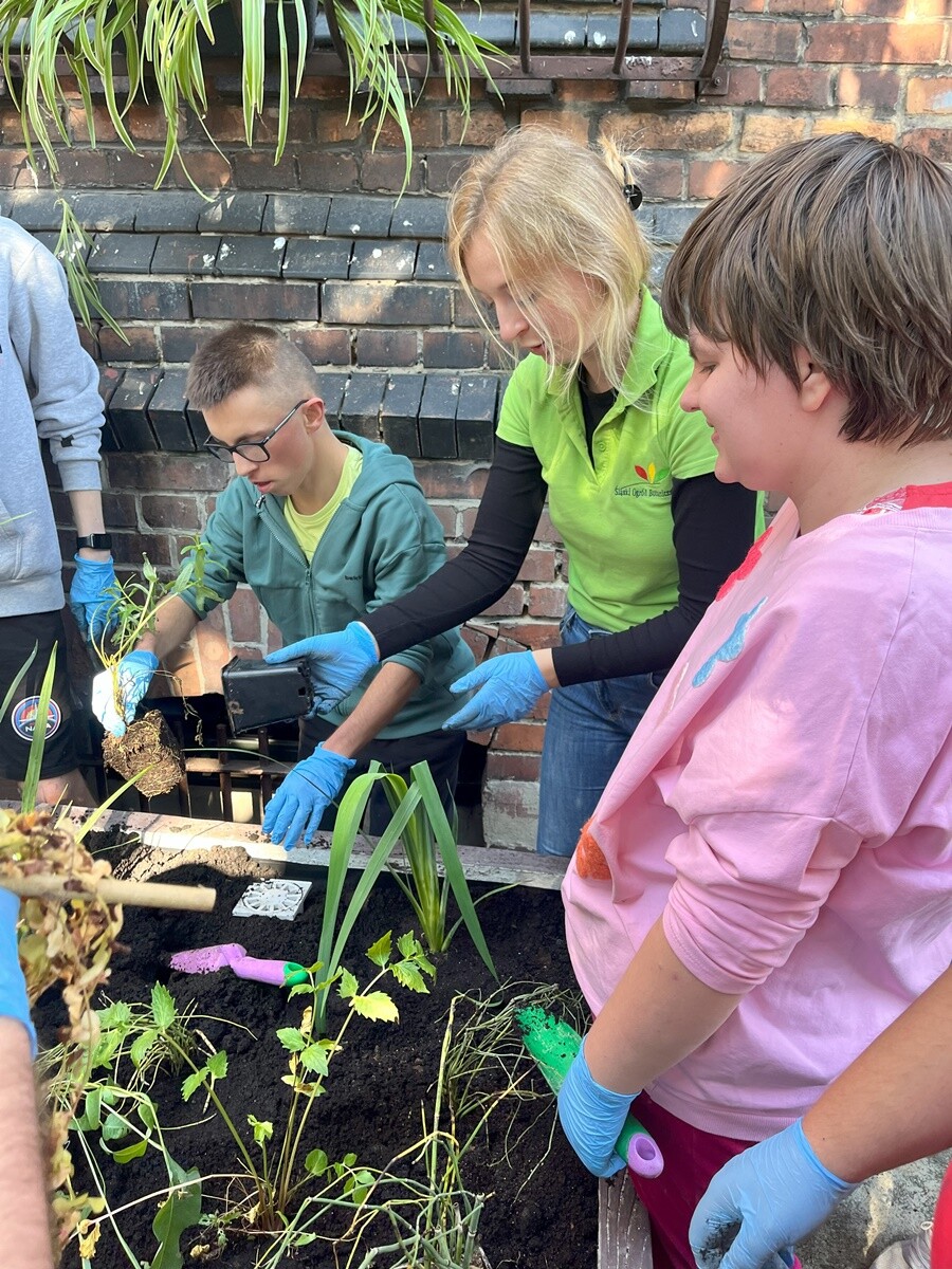 Ogród deszczowy w Zespole Szkół nr 7 w Rudzie Śląskiej. / fot. ZS nr 7