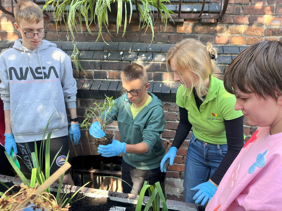 Ogród deszczowy w Zespole Szkół nr 7 w Rudzie Śląskiej. / fot. ZS nr 7