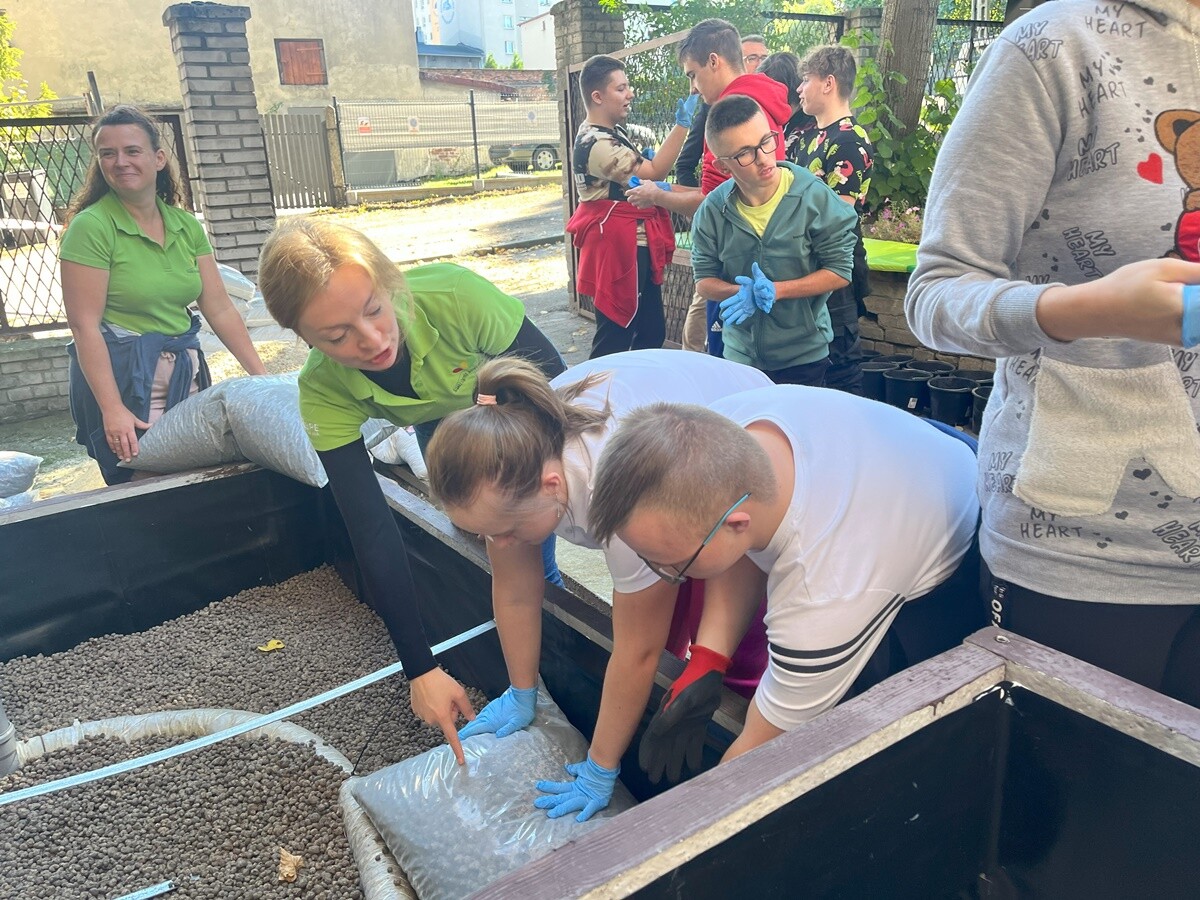 Ogród deszczowy w Zespole Szkół nr 7 w Rudzie Śląskiej. / fot. ZS nr 7