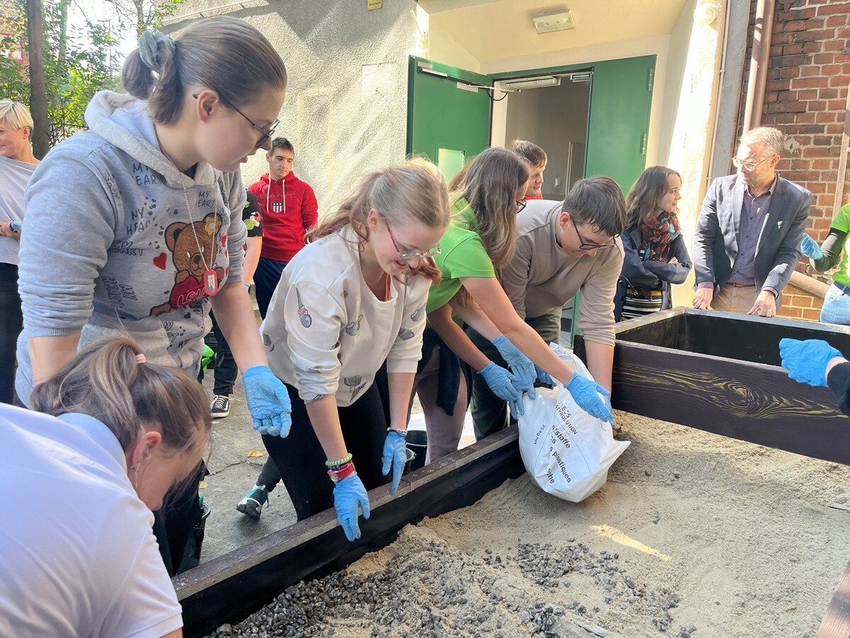 Ogród deszczowy w Zespole Szkół nr 7 w Rudzie Śląskiej. / fot. ZS nr 7
