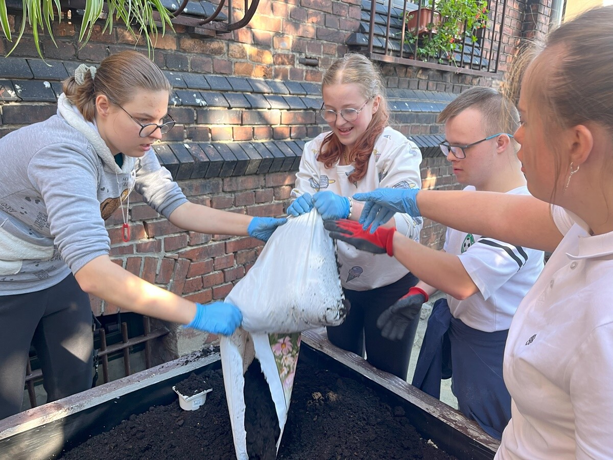 Ogród deszczowy w Zespole Szkół nr 7 w Rudzie Śląskiej. / fot. ZS nr 7