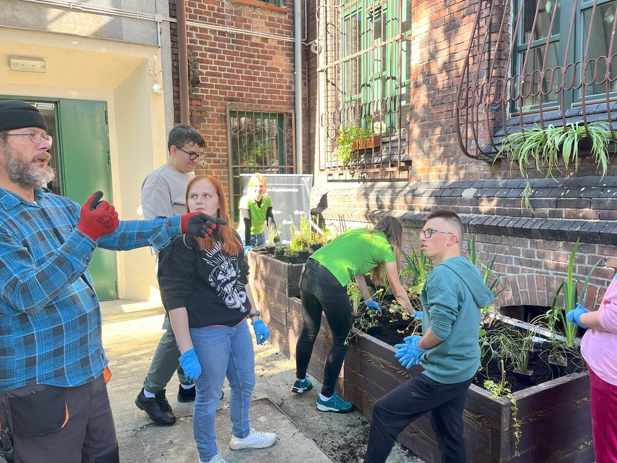 Ogród deszczowy w Zespole Szkół nr 7 w Rudzie Śląskiej. / fot. ZS nr 7