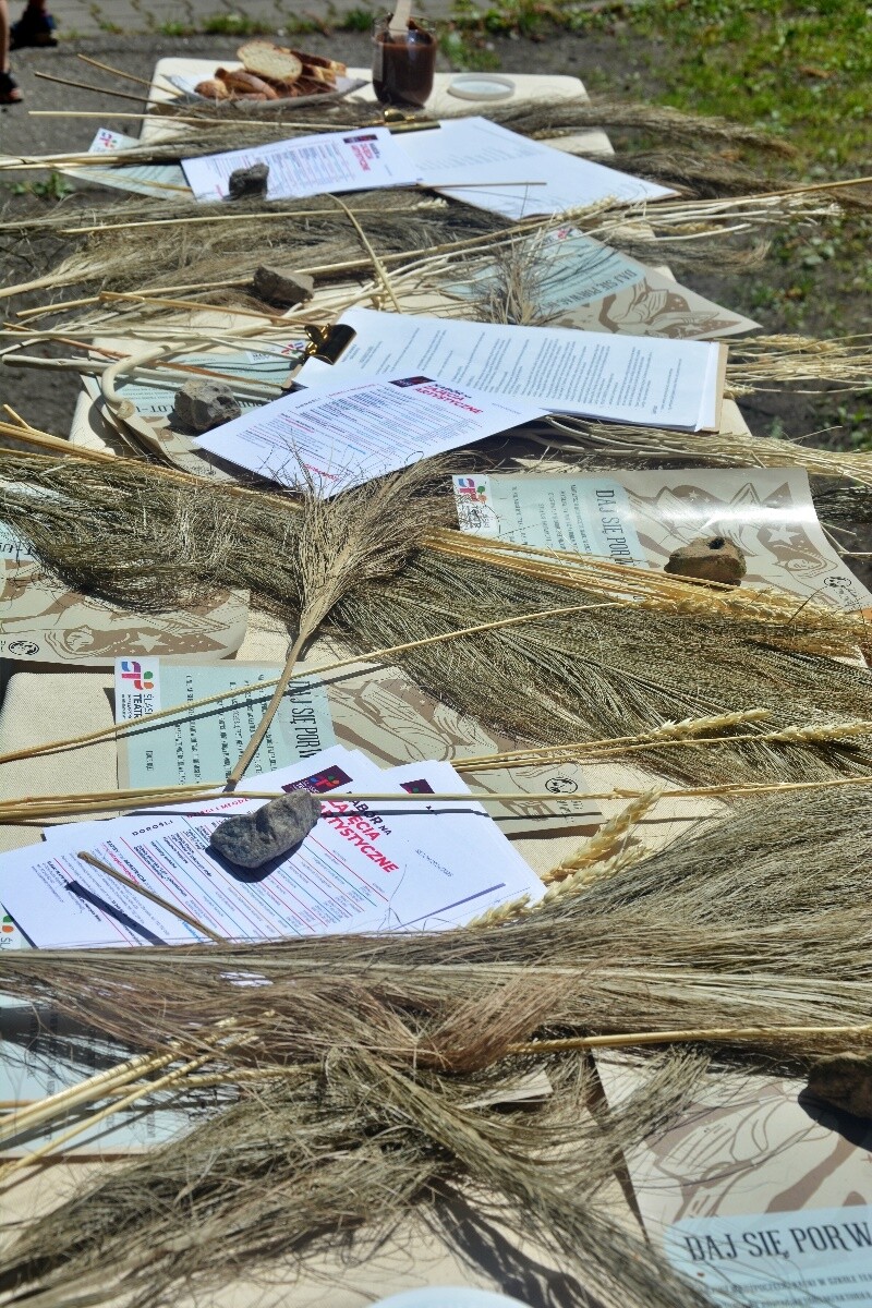 Ogród Śniadaniowy 2024 - 6 lipca / fot. Jacek Knapik