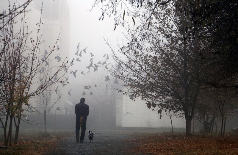 Ostrzeżenie przed gęstą mgłą!
