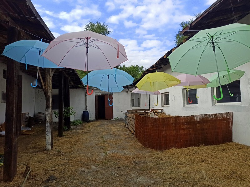 Akuku przeniosło się do Rudy Śląskiej! W piątek, 20 sierpnia, miało miejsce uroczyste otwarcie Akuku, które rozpoczyna nowy rozdział w zupełnie innym miejscu.