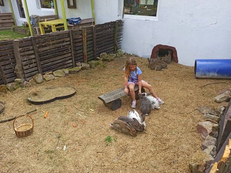 Akuku przeniosło się do Rudy Śląskiej! W piątek, 20 sierpnia, miało miejsce uroczyste otwarcie Akuku, które rozpoczyna nowy rozdział w zupełnie innym miejscu.
