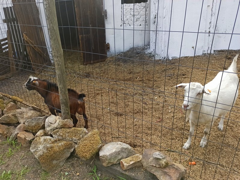 Akuku przeniosło się do Rudy Śląskiej! W piątek, 20 sierpnia, miało miejsce uroczyste otwarcie Akuku, które rozpoczyna nowy rozdział w zupełnie innym miejscu.