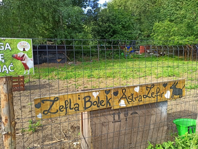 Akuku przeniosło się do Rudy Śląskiej! W piątek, 20 sierpnia, miało miejsce uroczyste otwarcie Akuku, które rozpoczyna nowy rozdział w zupełnie innym miejscu.