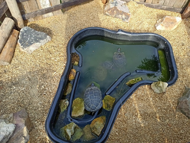 Akuku przeniosło się do Rudy Śląskiej! W piątek, 20 sierpnia, miało miejsce uroczyste otwarcie Akuku, które rozpoczyna nowy rozdział w zupełnie innym miejscu.