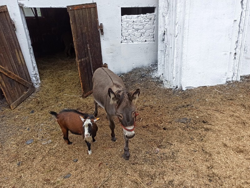 Akuku przeniosło się do Rudy Śląskiej! W piątek, 20 sierpnia, miało miejsce uroczyste otwarcie Akuku, które rozpoczyna nowy rozdział w zupełnie innym miejscu.