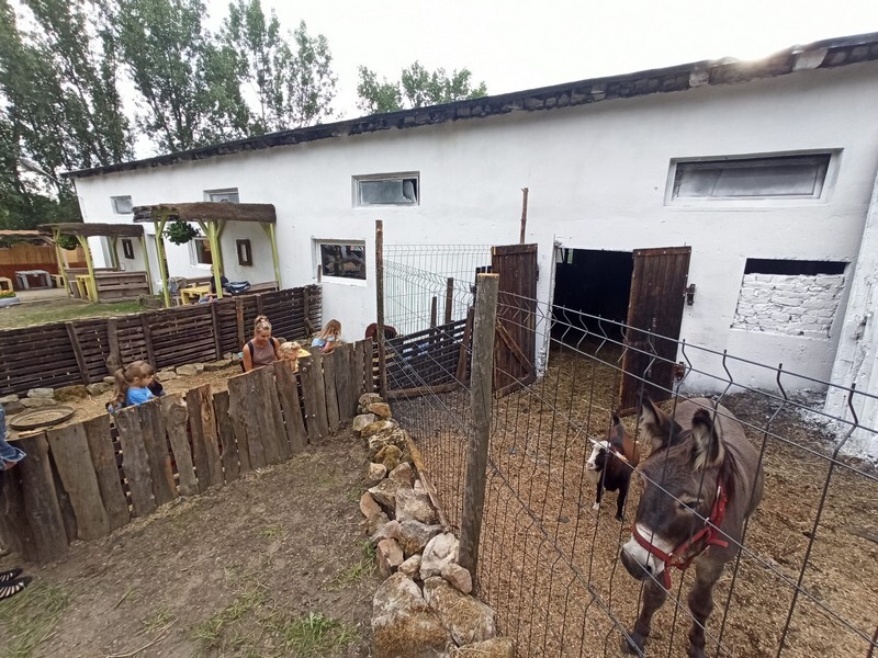 Akuku przeniosło się do Rudy Śląskiej! W piątek, 20 sierpnia, miało miejsce uroczyste otwarcie Akuku, które rozpoczyna nowy rozdział w zupełnie innym miejscu.