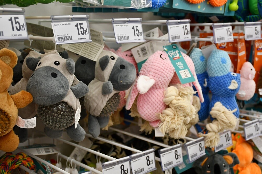 Wielkie otwarcie kolejnego sklepu Dealz w Rudzie Śląskiej!