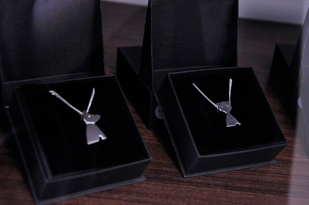 Zwierzęta nie będą już zakopywane w ogródku. W Rudzie powstało krematorium