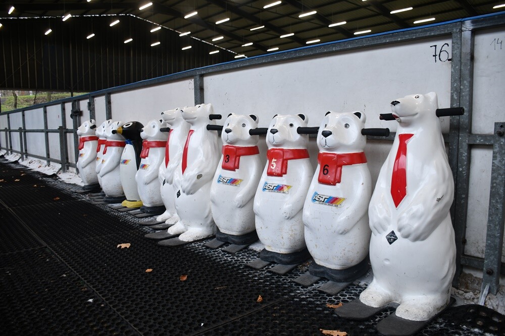 Zima zbliża się wielkimi krokami, więc rudzkie lodowisko otwiera się dla miłośników jednego z najpopularniejszych sportów zimowych – łyżwiarstwa.

fot. Jacek Knapik