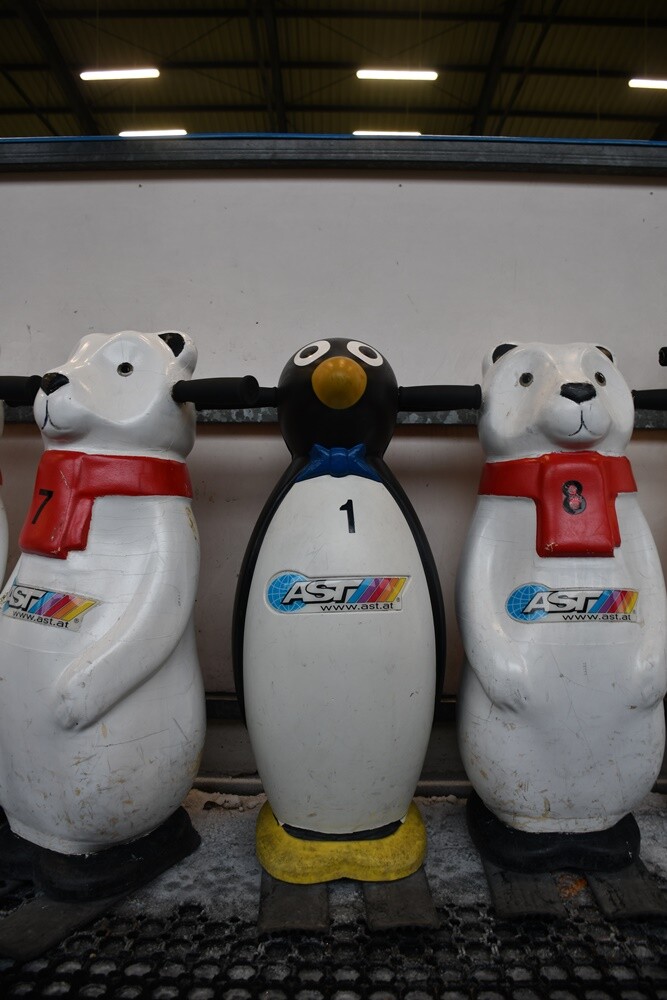 Zima zbliża się wielkimi krokami, więc rudzkie lodowisko otwiera się dla miłośników jednego z najpopularniejszych sportów zimowych – łyżwiarstwa.

fot. Jacek Knapik