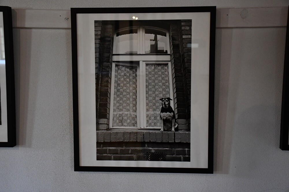 Otwarcie sezonu w Muzeum PRL-u. / fot. Karolina Bauszek-Żurek / UM Ruda Śląska