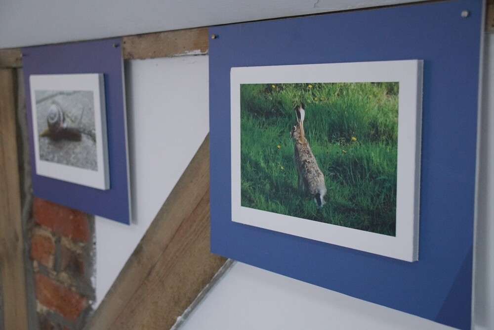 Od wczoraj w Galerii Czapla, można podziwiać wyjątkowe fotografie mecenas Ewy Szklarczyk. Otwarcie wystawy "Z obiektywem przez życie" przyciągnęło wielu miłośników fotografii. Współorganizatorem wydarzenia było Towarzystwo Miłośników Orzegowa.