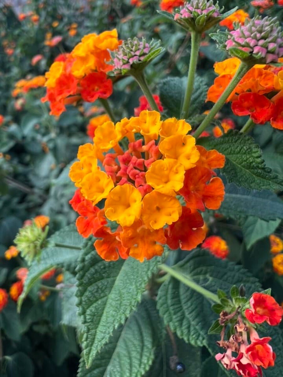 Pierwsze oznaki wiosny. / fot. Czytelnicy