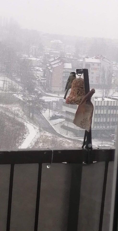 W nocy z soboty na niedzielę w Polsce spadł pierwszy śnieg. Opady wystąpiły na południu i wschodzie kraju. W nocy spadło kilka centymetrów białego puchu.