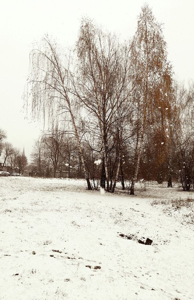 W nocy z soboty na niedzielę w Polsce spadł pierwszy śnieg. Opady wystąpiły na południu i wschodzie kraju. W nocy spadło kilka centymetrów białego puchu.