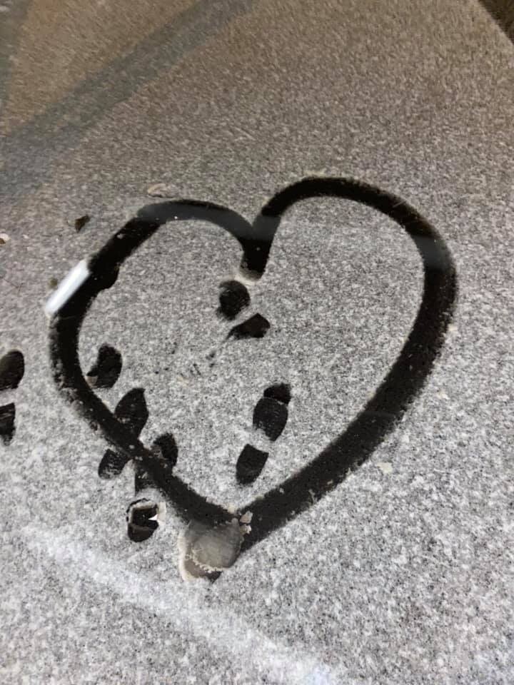 W nocy z soboty na niedzielę w Polsce spadł pierwszy śnieg. Opady wystąpiły na południu i wschodzie kraju. W nocy spadło kilka centymetrów białego puchu.