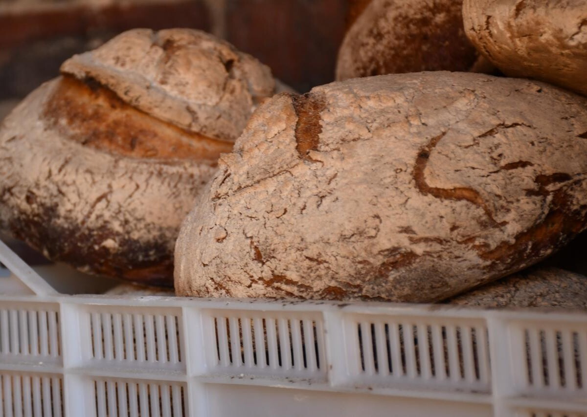 Europejskie Dni Dziedzictwa 2023. Za nami piknik przy piekaroku! / fot. Jacek Knapik