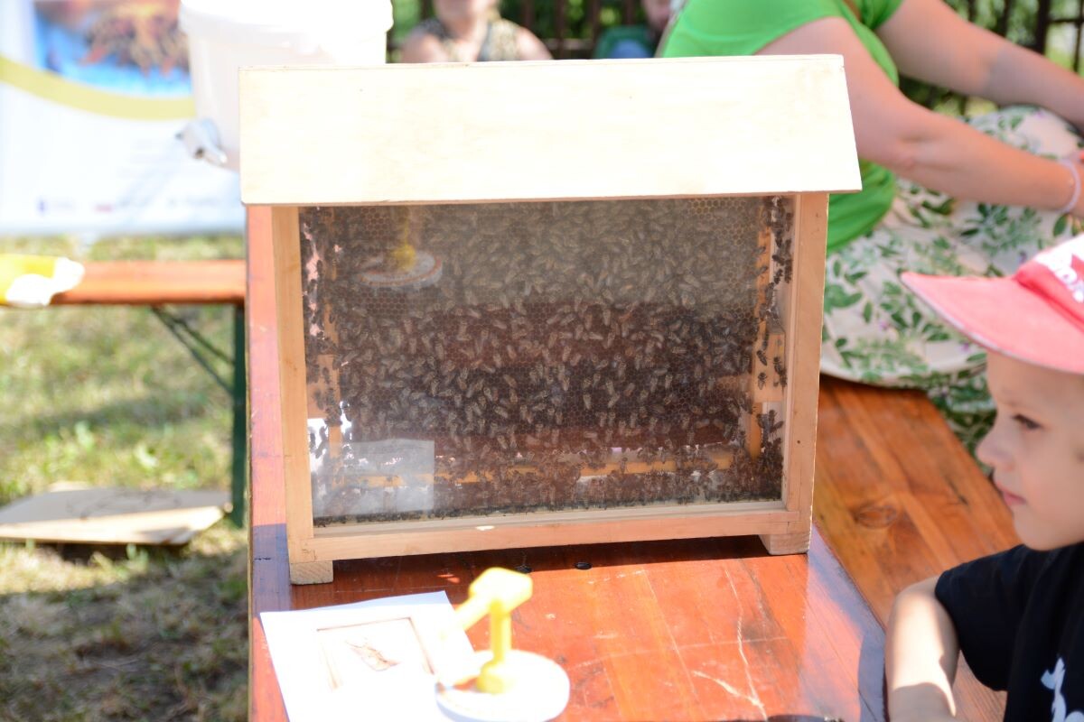 Za nami Muzyczny Piknik przy rudzkim Piekaroku! Wydarzenie obfitowało w wiele atrakcji, a to wszystko w okolicy ostatniego w regionie czynnego pieca chlebowego — zabytkowego "Piekaroka". / fot. Marek Faber